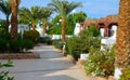 Beautiful Green Garden in an Egyptian hotel