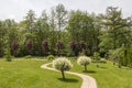 Beautiful green garden with a path going between two Japanese willow trees