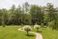 Beautiful green garden with a path going between two Japanese willow trees Royalty Free Stock Photo