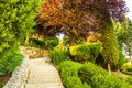 Beautiful green garden. Royalty Free Stock Photo
