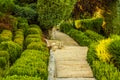 Beautiful green garden. Royalty Free Stock Photo