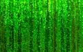 Beautiful green glitter curtain background with sequins