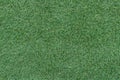 Beautiful green grass background, texture, pattern. Royalty Free Stock Photo