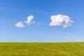 Beautiful green grass field with cumulus cloud and blue sky back Royalty Free Stock Photo