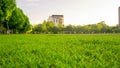 Beautiful green grass field and fresh plant in vibrant meadow ag.