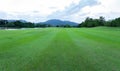 Beautiful green grass field of golf course Royalty Free Stock Photo