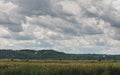 Beautiful green grass field under a cloudy sky, landscape background.