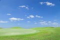 Beautiful Green grass on a golf field blue sky scenery background. Royalty Free Stock Photo