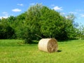 Beautiful green field with hay roll Royalty Free Stock Photo