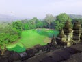 Beautiful Green Grass, Side of borobudur temple, great culture