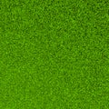 Beautiful green grass sward background