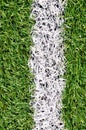 Beautiful green grass texture Royalty Free Stock Photo