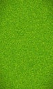Beautiful green grass texture Royalty Free Stock Photo
