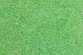Beautiful green grass texture Royalty Free Stock Photo
