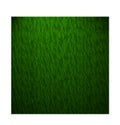 Beautiful green grass texture Royalty Free Stock Photo