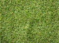 Beautiful green grass texture from golf course Royalty Free Stock Photo