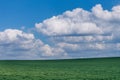 Beautiful green grassy field under fluffy cloud formations Royalty Free Stock Photo