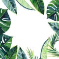 Beautiful green herbal tropical wonderful hawaii floral summer frame of a tropic palm leaves watercolor hand illustration Royalty Free Stock Photo