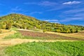 Beautiful green hill with vineyard cottages Royalty Free Stock Photo