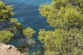 Beautiful green island Ibiza