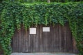 Beautiful green ivy adorns the gate Royalty Free Stock Photo