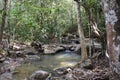 Beautiful green jungle landscape with a river and many big stones at the jungle hiking trail to dragon crest in Khao Ngon Nak in T