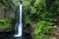 Beautiful Green Kaiate Falls Royalty Free Stock Photo