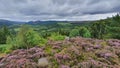 Beautiful green landscape of Braemar with a cloudy background in Scotland