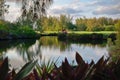 Beautiful green landscape with a lake. Trees and bushes with a reflection.