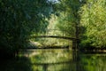 green landscape with river, bridge and reflextion of willow trees. Idyllic contryside scene