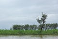 Beautiful green landscape at the shore of Tanguar haor, Sunamganj, Bangladesh. during monsoon season. Royalty Free Stock Photo