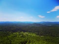 Beautiful green landscape of Slovenia forest