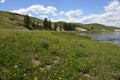 Green landscape with lake Royalty Free Stock Photo