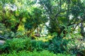 Beautiful green landscaping with beautiful plants and flowers