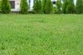 Beautiful green lawn with freshly mown grass outdoors Royalty Free Stock Photo