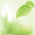 Beautiful green leaf background