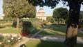 Beautiful green leaf and colourful flower at Mugal garden in Delhi.