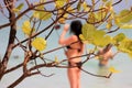 Beautiful green leaves on the beach with girl in a bikini selfie background. Royalty Free Stock Photo