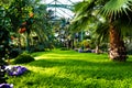 Beautiful Green Lush Greenhouse Plants Oasis Garden