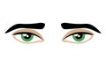 Sensual green male eyes icon vector