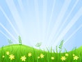 Beautiful green meadow scene Royalty Free Stock Photo