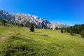 Beautiful green meadows with Latemar mountains group Latemargruppe, under a sunny blue sky Trentino Alto adige, Italy