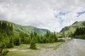 Beautiful green mountain landscape in Romania Royalty Free Stock Photo