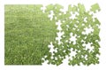 Beautiful green mowed lawn in puzzle shape on white background