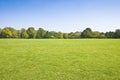 Beautiful green mowed lawn with trees and sky on background - image with copy space