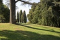 Beautiful green mowed lawn with trees in sprigtime - Italian landscape
