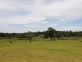 beautiful green natural scenery on the hills of Kebo, Balikpapan, Borneo, Indonesia Royalty Free Stock Photo