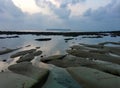 Blue sky and blue sea water in nature with mud