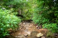 Idyllic lush woodland stream selective focus on destination Royalty Free Stock Photo