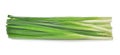 Beautiful green onion chives on white background Royalty Free Stock Photo